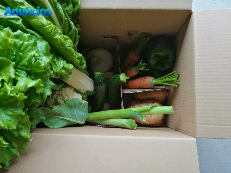 Caja de verduras y hortalizas gallegas