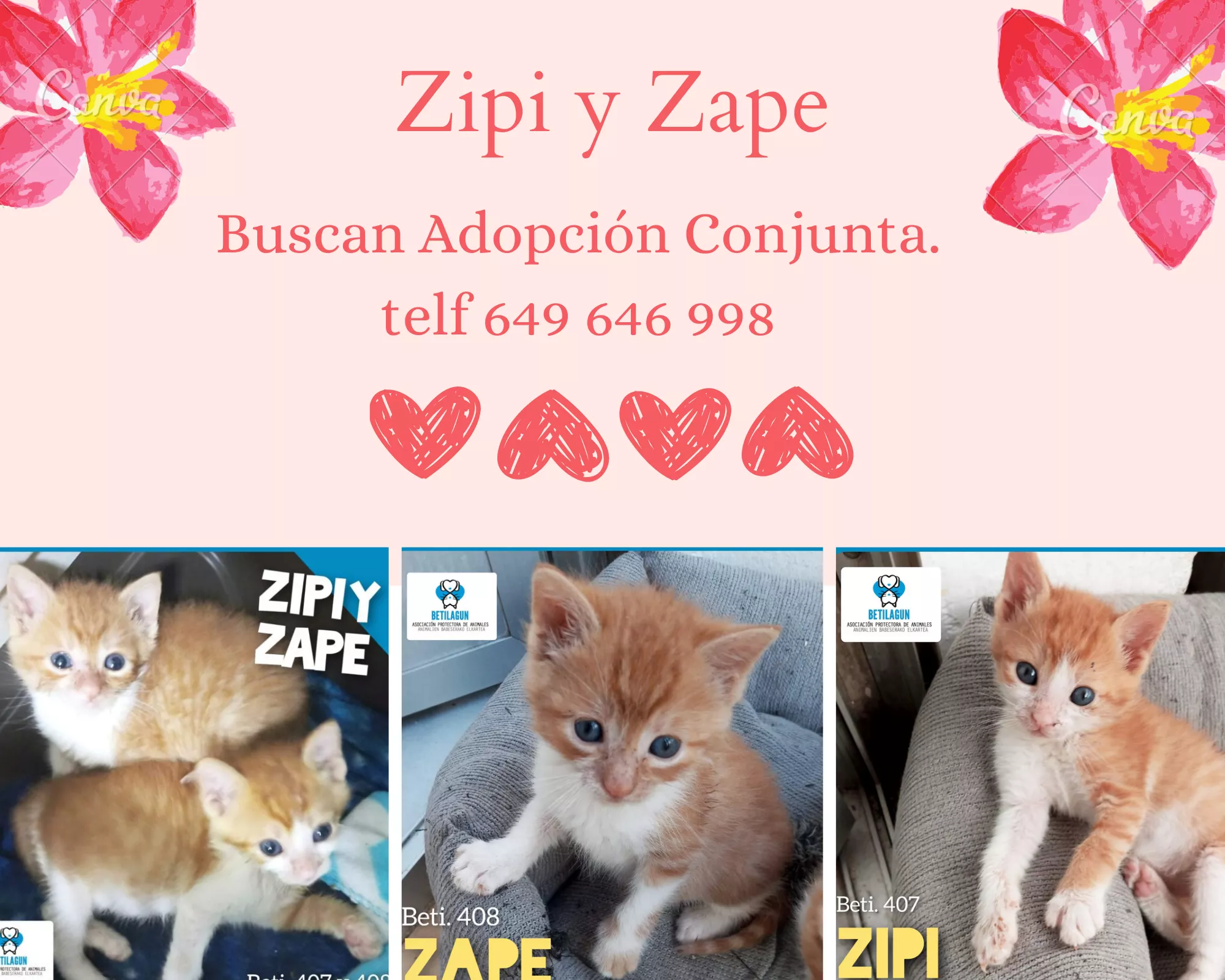 Zipi y Zape en Adopción Conjunta