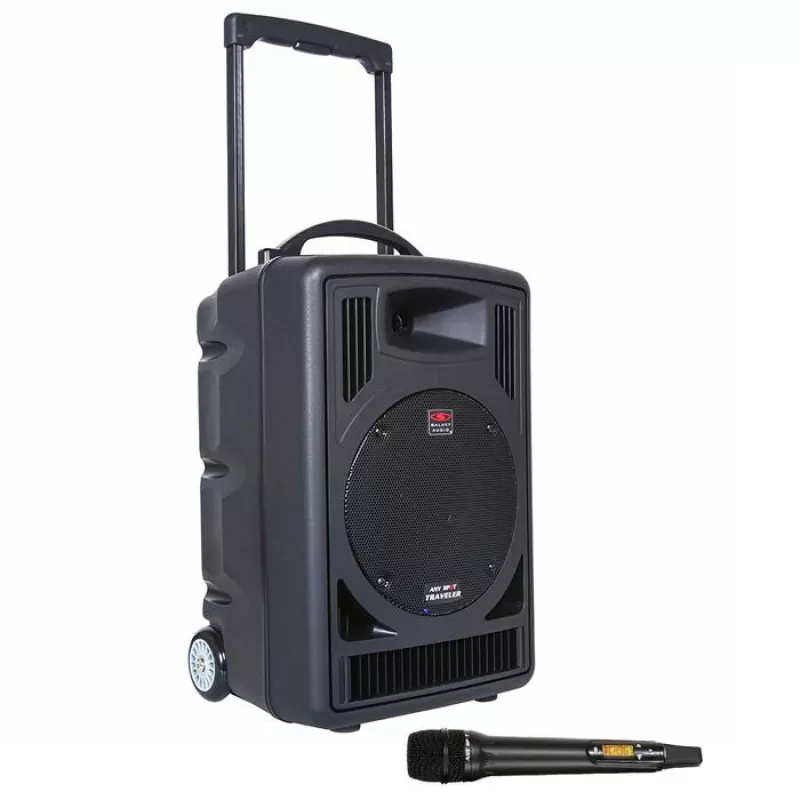 TV8 Portable Speaker with Hand Held Microphone and Bluetooth Receiver