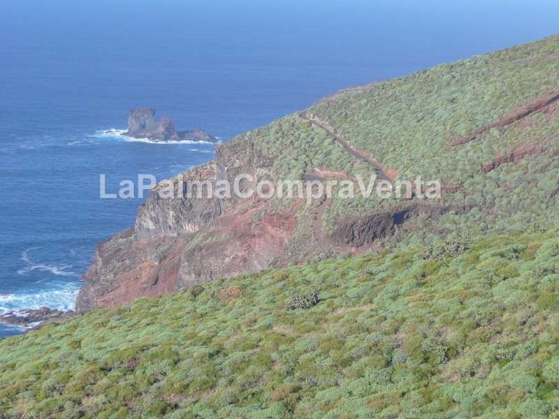 ID-424 Terreno en la zona noroeste de la isla de la Palma en Lomada Grande Garafia   Gran terreno en